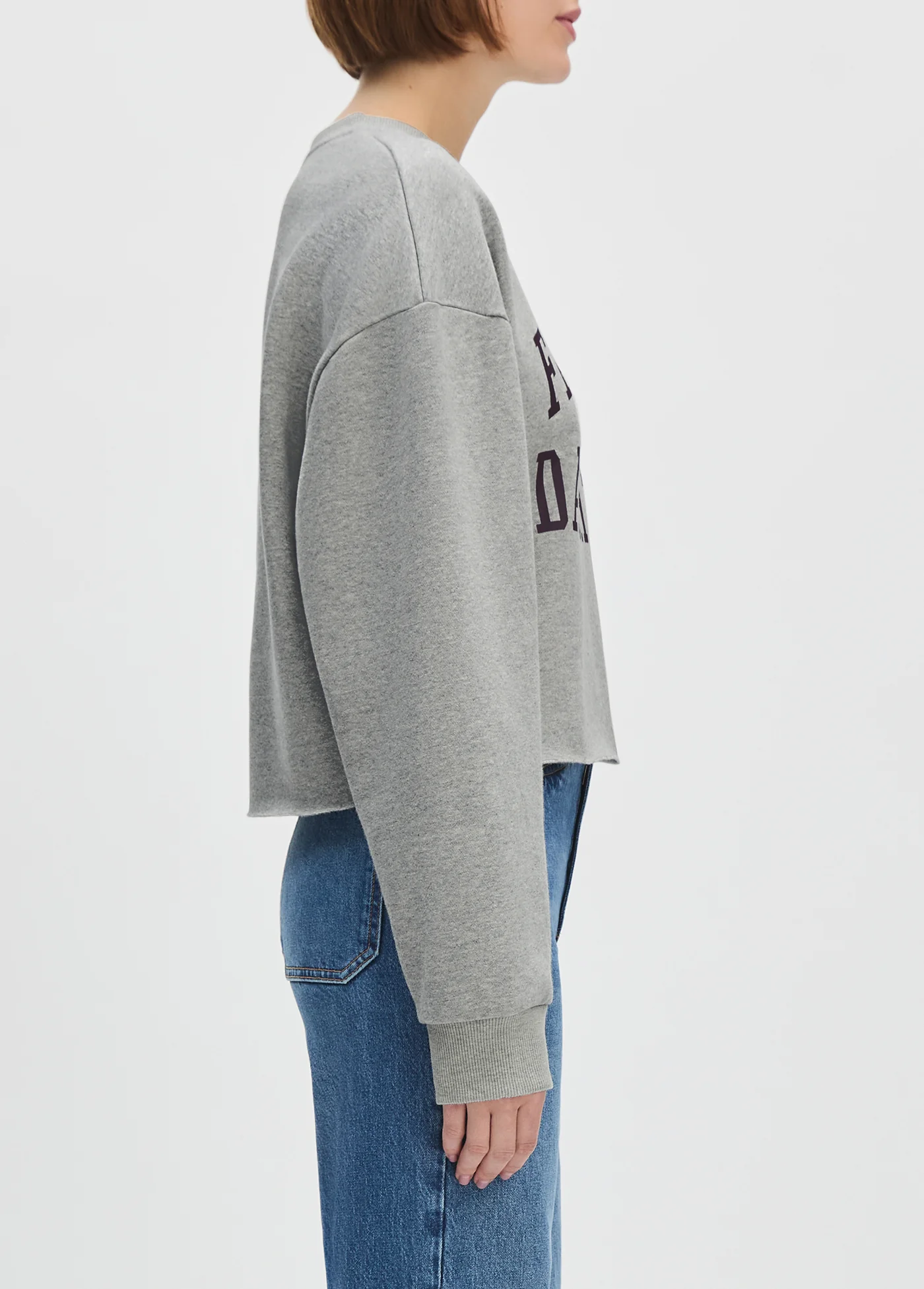 THE CROPPED COLLEGIATE SWEATSHIRT - Image 5